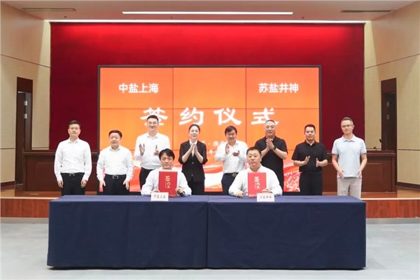 开云手机入口井神与中盐上海签署战略合作协议